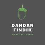 Dandan Fındık